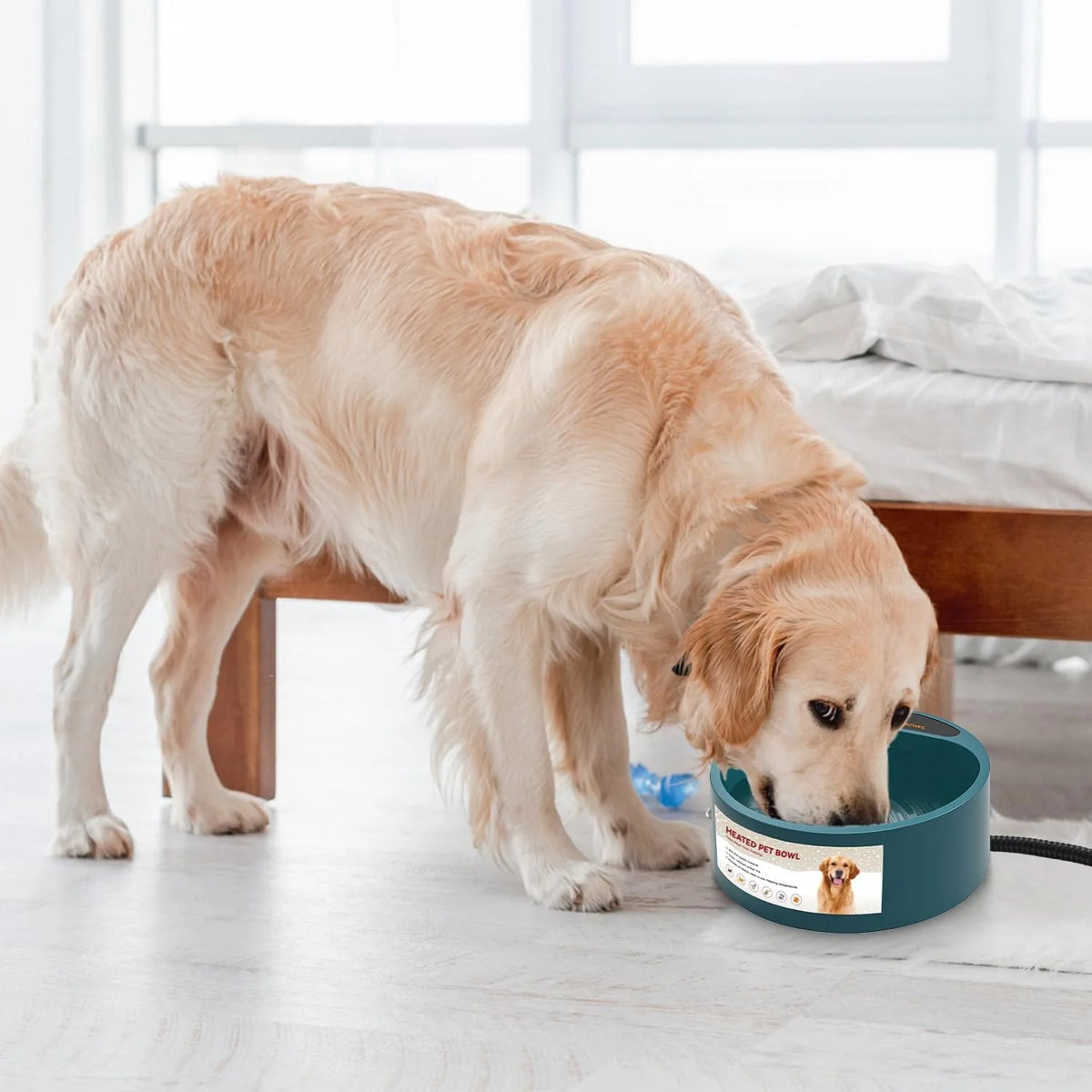 Heated Dog Water Bowl – 74 Oz, Won'T Freeze, for Outdoor Big Dogs