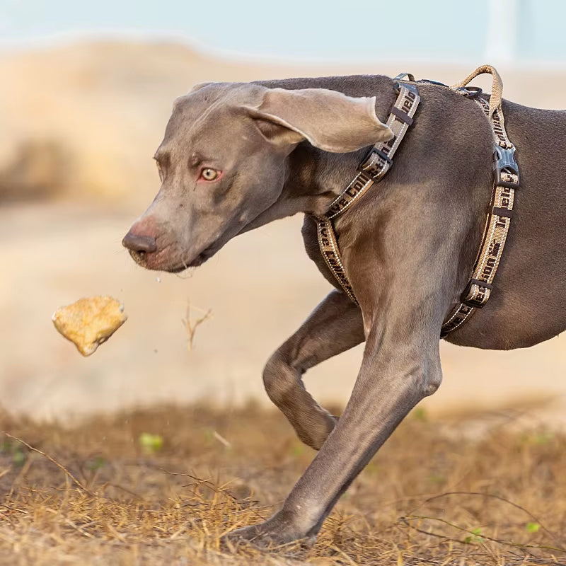 Padded No-Pull Harness for Giant Breeds – Fits 32–42 in Chest
