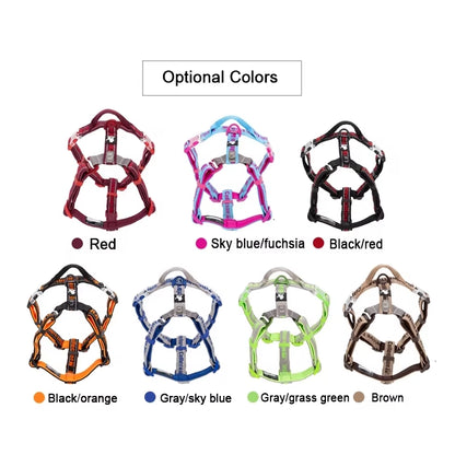 Padded No-Pull Harness for Giant Breeds – Fits 32–42 in Chest